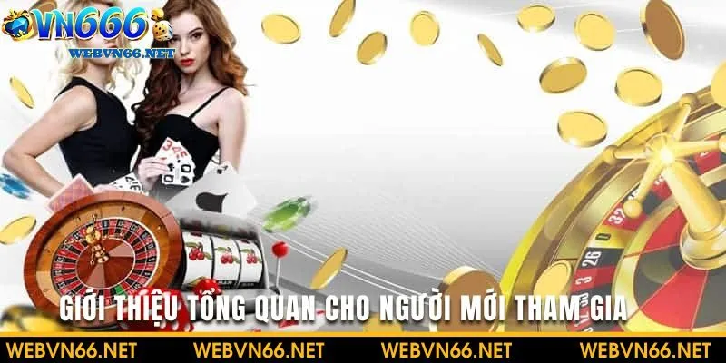 VN6 là nhà cái nào mà lại gây được tiếng vang lớn trong cộng đồng cá cược